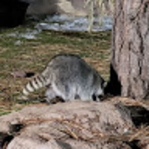 Meet your Posher, Frances